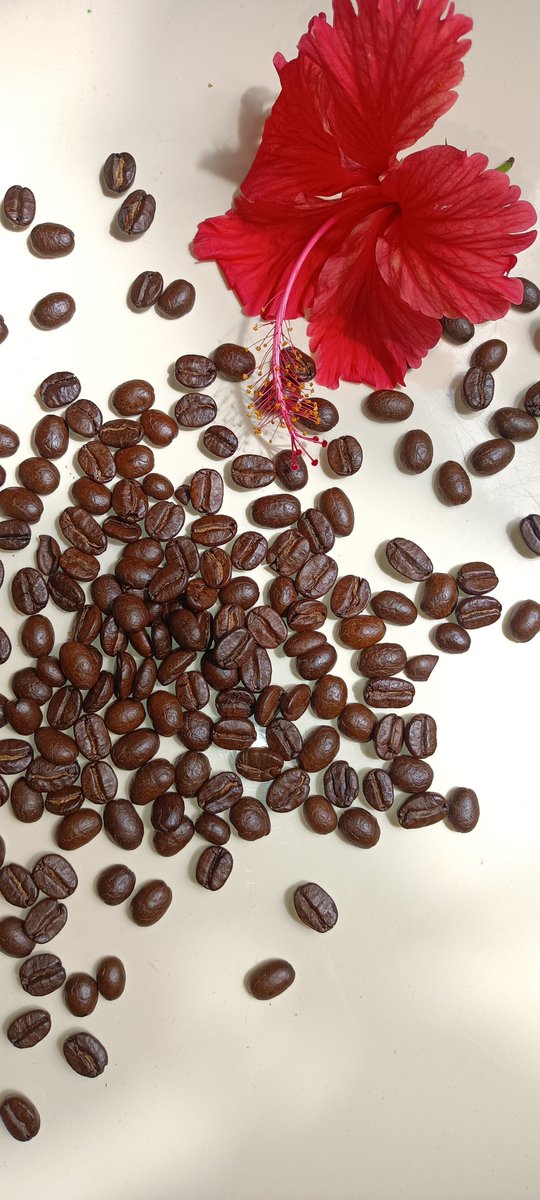 not_hereeeee_'s tweet photo. Coffee choose me 🫠❤️ https://t.co/DDV3KhMiTw