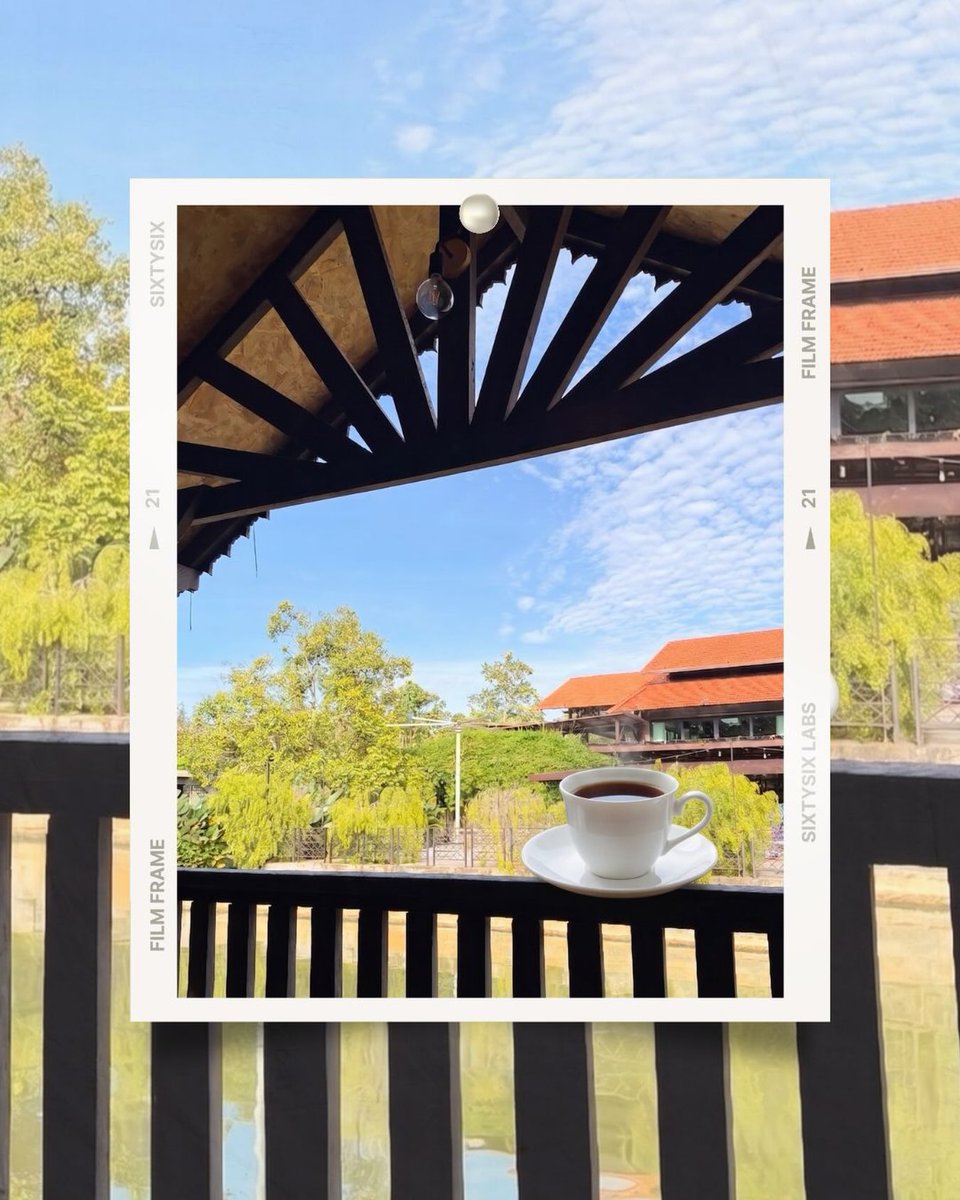 JulieannTai20j's tweet photo. Slow mornings just feel better surrounded by nature. https://t.co/QE6ONmDmaW