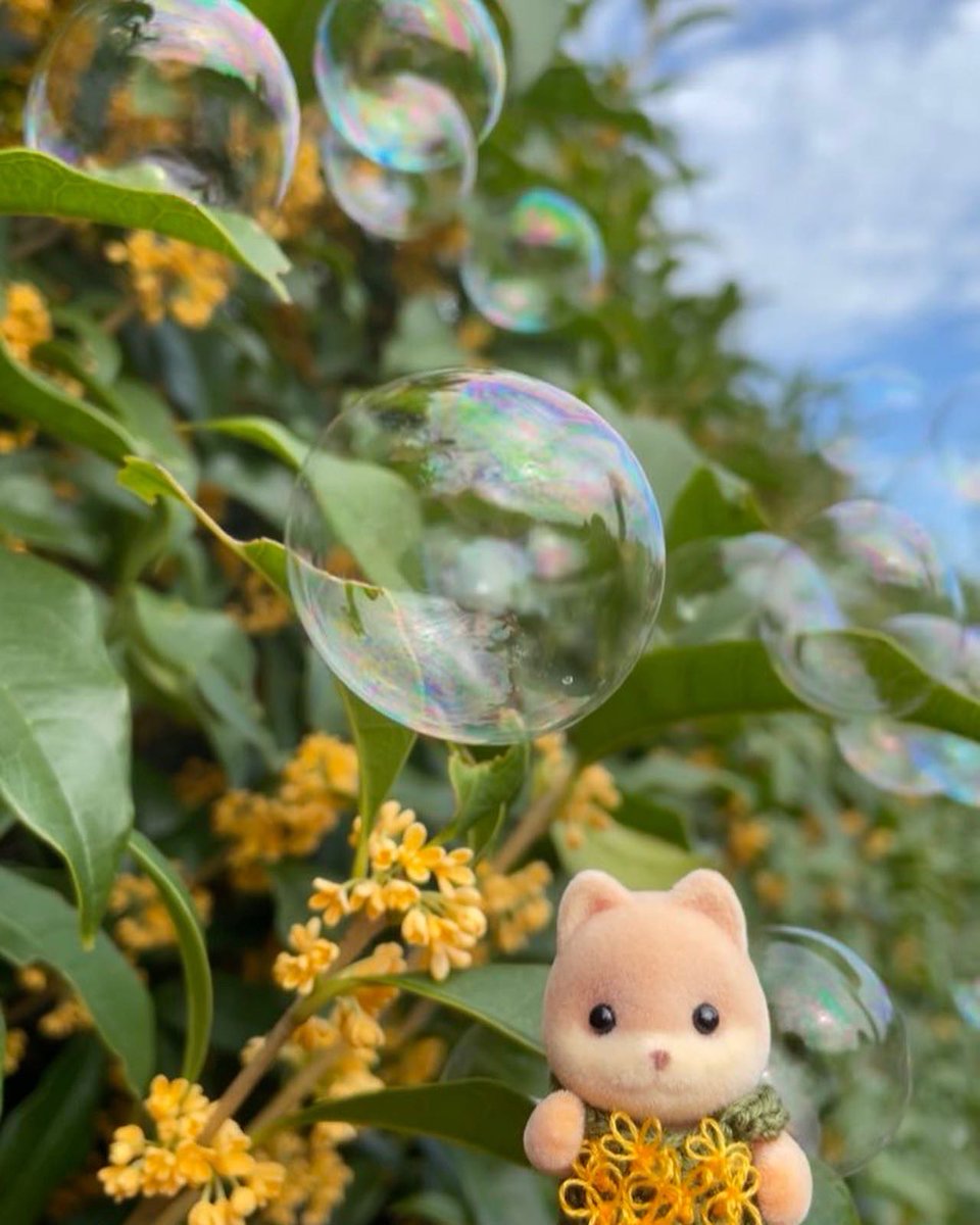 ppp44ppp44's tweet photo. 🎂HAPPY BIRTHDAY🎂
💛ジャスティンくん💛
9月9日もうすぐ終わるじゃん😂
私の心の支えでもあり✨同志でもあり✨
子供でもある✨大好き💛
💛これからも一緒にお出かけしようね💛
#シルバニアファミリー https://t.co/f75UktaxCg