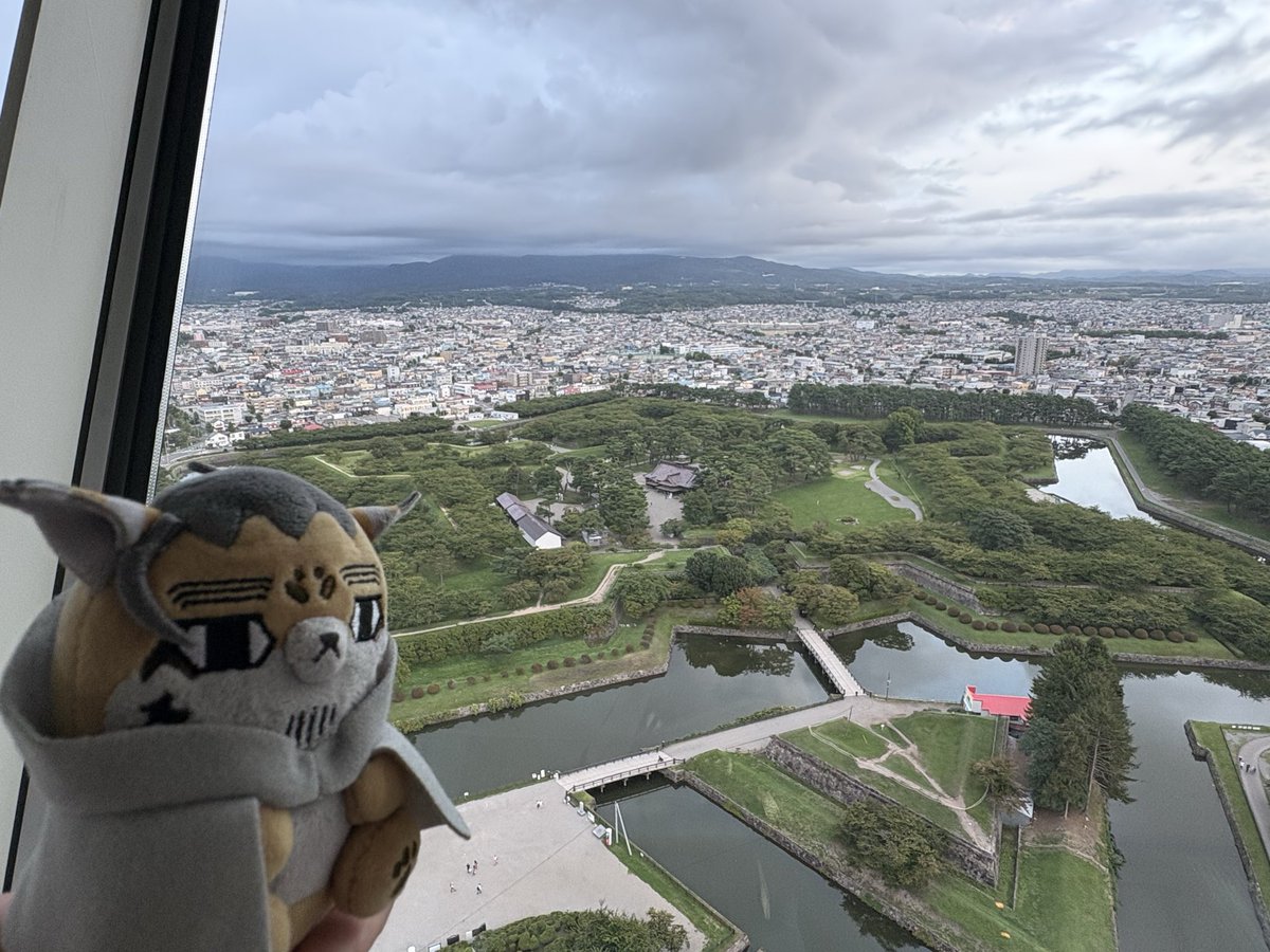 mochikin100's tweet photo. ここはっ、ここはぁっ…！！！
#フォゼ尾といっしょ #フォゼ之進といっしょ https://t.co/shXcEpnXml