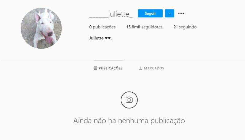 ovolumemorto's tweet photo. Banda Muse 🤝 cachorra Juliette https://t.co/4cUH1MCvNp