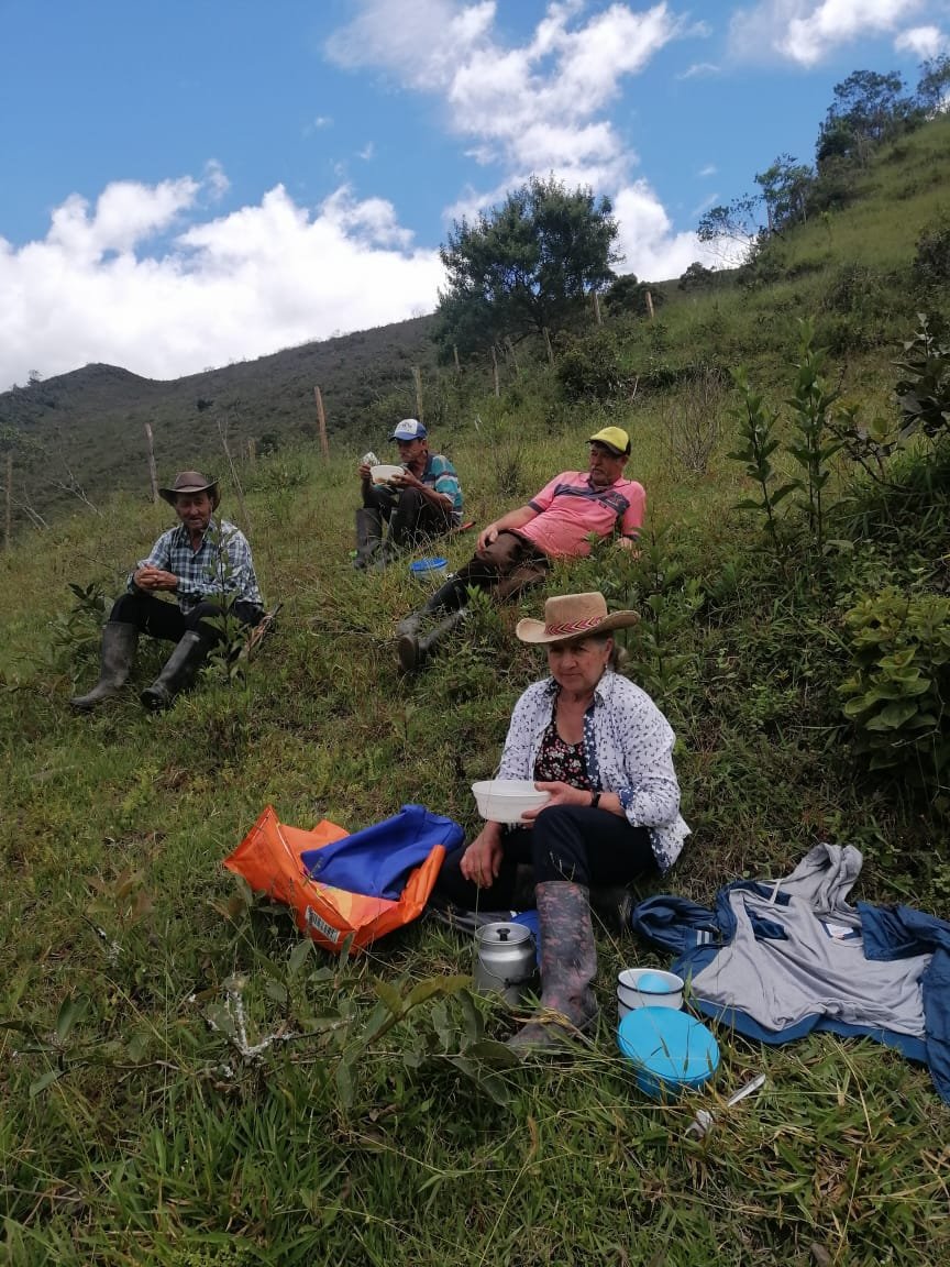 RocioAgVargas's tweet photo. Un homenaje a muestras campesinas y campesinos quienes desde las primeras horas del día incluso en ocasiones antes de que cante el gallo salen a realizar el ordeño, a cuidar el cafetal, a trabajar la tierra, y a enfrentar las diferentes labores del campo. Gracias a ellos y a pesar de las dificultades, este país puede llegar a ser la despensa agrícola del planeta. ¡Sólo falta la voluntad política! para no dejarlos solos y cada día mejorar para ellos sus condiciones de vida. @MinAgricultura @FomequeAlcaldia