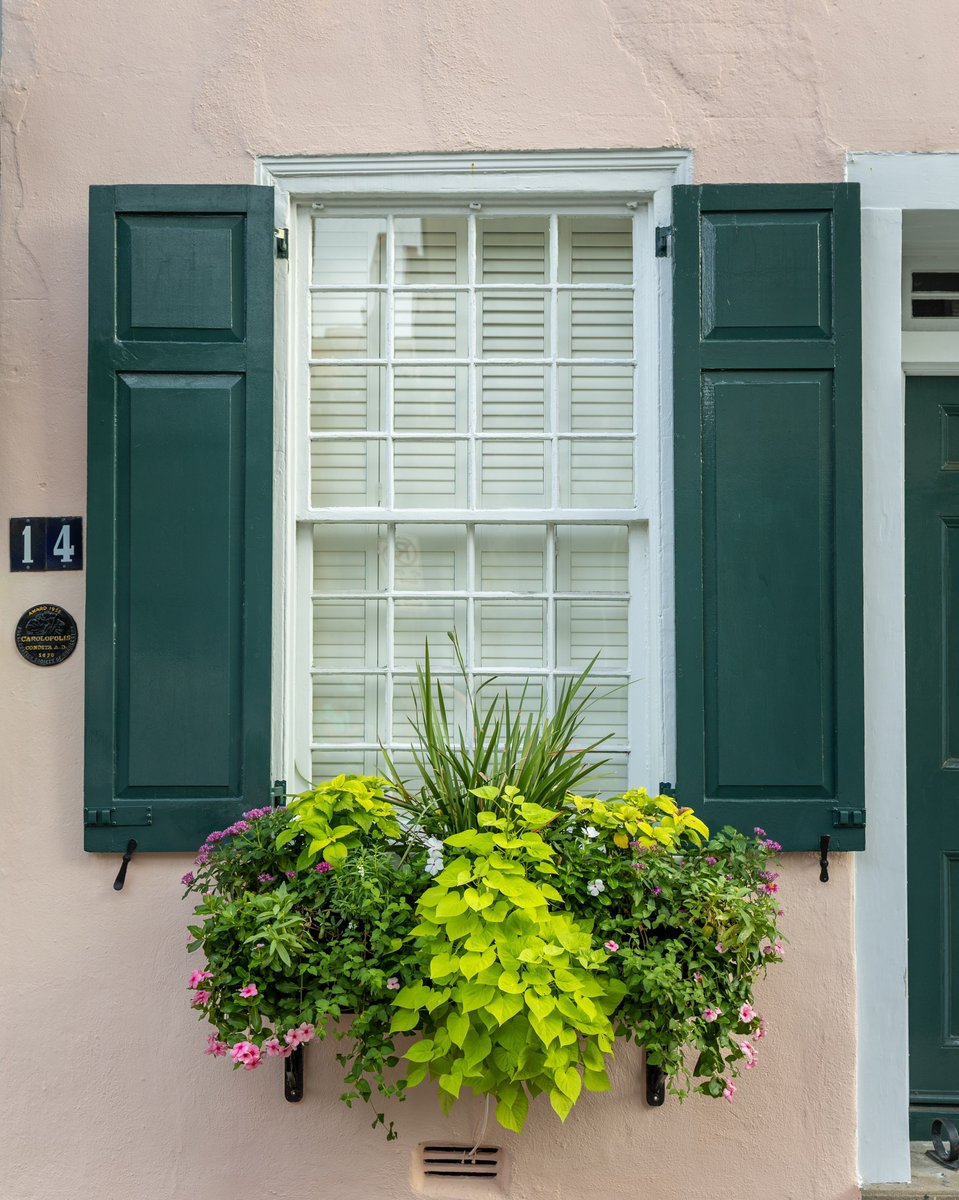 ExploreCHS's tweet photo. Happy #WindowBoxWednesday from Charleston! πΏ #ExploreCharleston https://t.co/wTvVb8x970