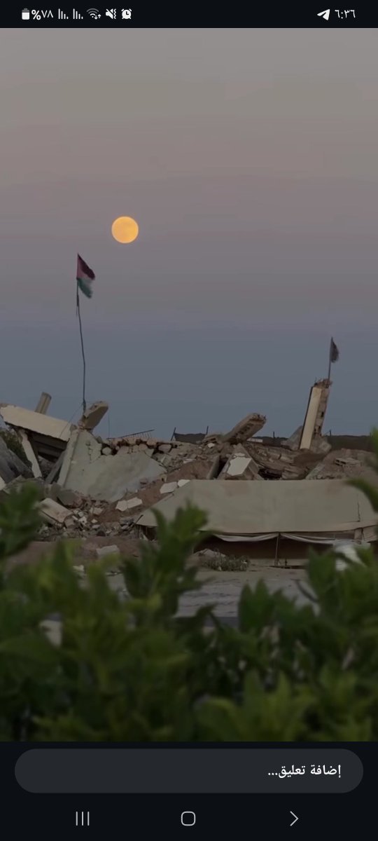 homaTo2's tweet photo. Please help my family pay the rent on our land.
We don't have much time—our only options are to pay or be evicted.
Please, if you can't help, at least share this post.  https://t.co/3nPRImitck
#supportfamily
#everydonationcounts
#trendingnow
#palestine #gaza https://t.co/5r2vXMSSS5