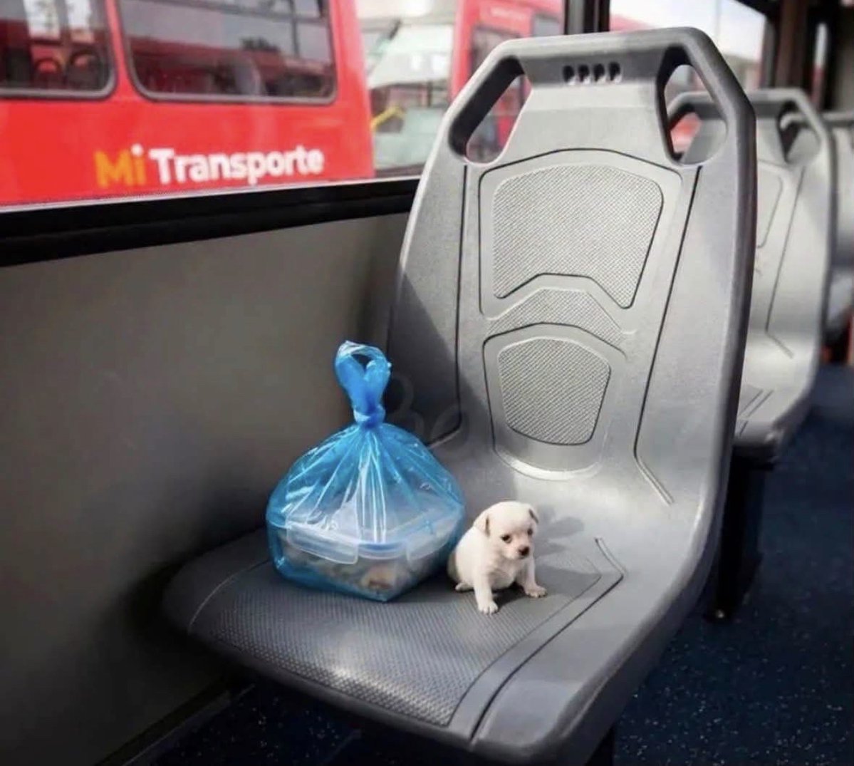 Guarromantico_'s tweet photo. Yo yendo afrontar la vida de adulto “chiquito”. https://t.co/UXRGCfhnQb