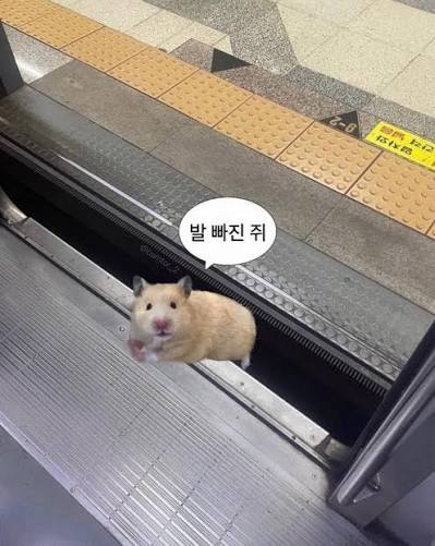 vr_naname's tweet photo. @mamadora1964000 https://t.co/yCo71n4IIr