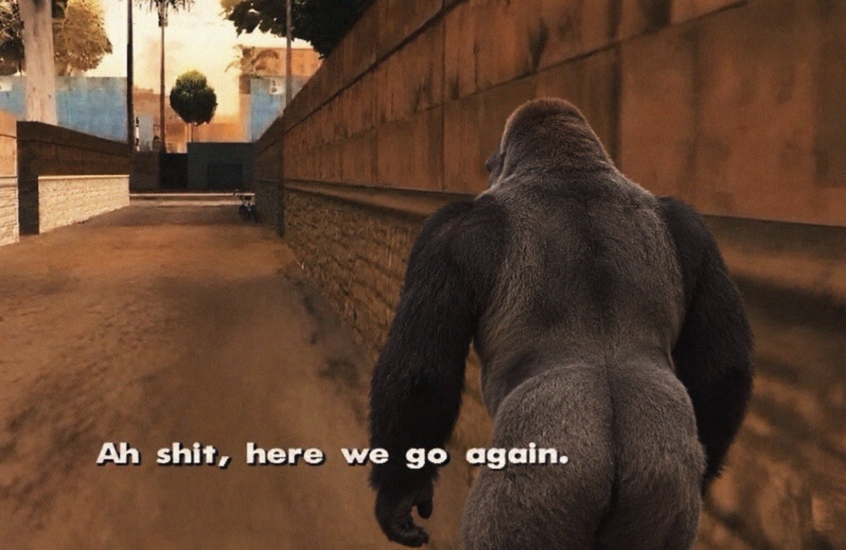 ripharambe_sol's tweet photo. harambes return will be glorious https://t.co/i4KYDQQvpb