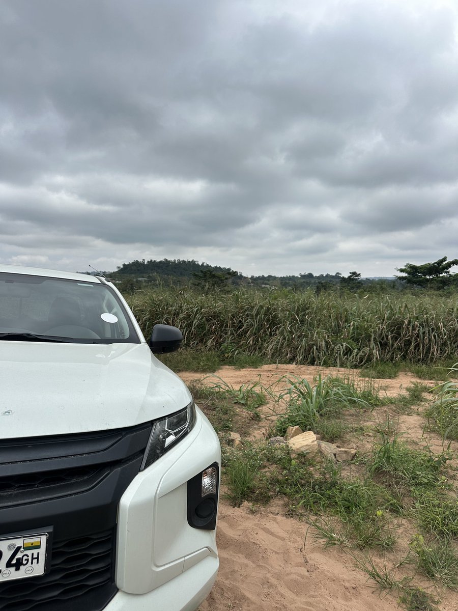 Pentagro_vent's tweet photo. #farmlife❤️ 
#farminginghana🇬🇭 https://t.co/Z2TSAQlb0s