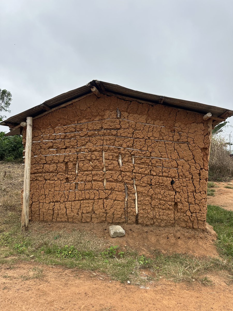 Pentagro_vent's tweet photo. #farmlife❤️ 
#farminginghana🇬🇭 https://t.co/Z2TSAQlb0s
