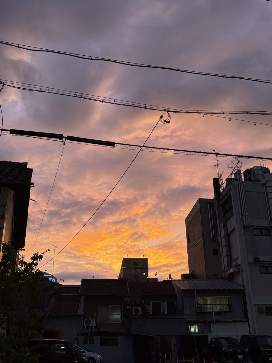 jinya_kim's tweet photo. 夕焼けにしみじみする年齢になってしまったな https://t.co/QKkqKJD0lN