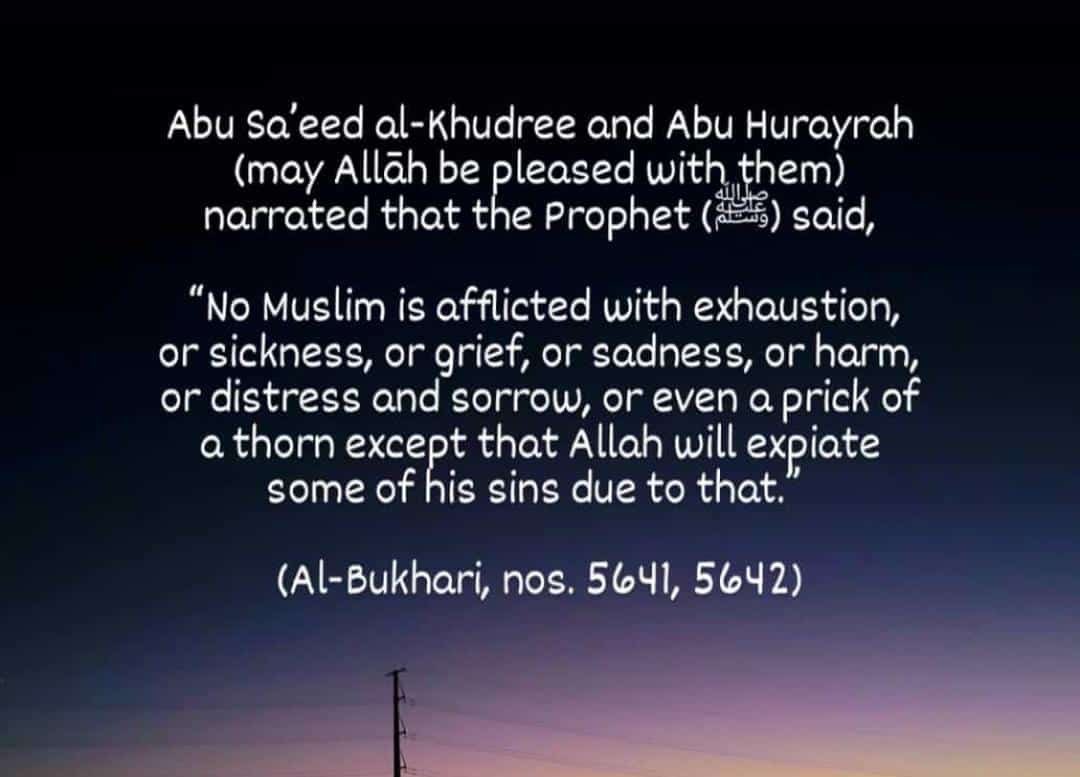 ALahdith's tweet photo. #Hadith #Sunnah https://t.co/zRMI6h33N2