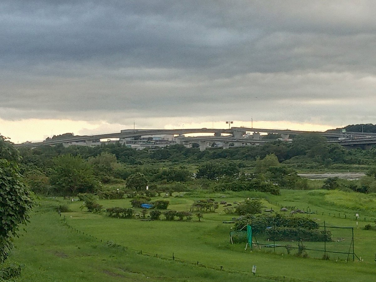 123part2's tweet photo. イブニング🌦️
神奈川県座間市🌻

155EK155局57/53台湾🇹🇼
155TW799局57/55台湾🇹🇼

交信して頂きありがとうございました。 https://t.co/odZuloPRjR