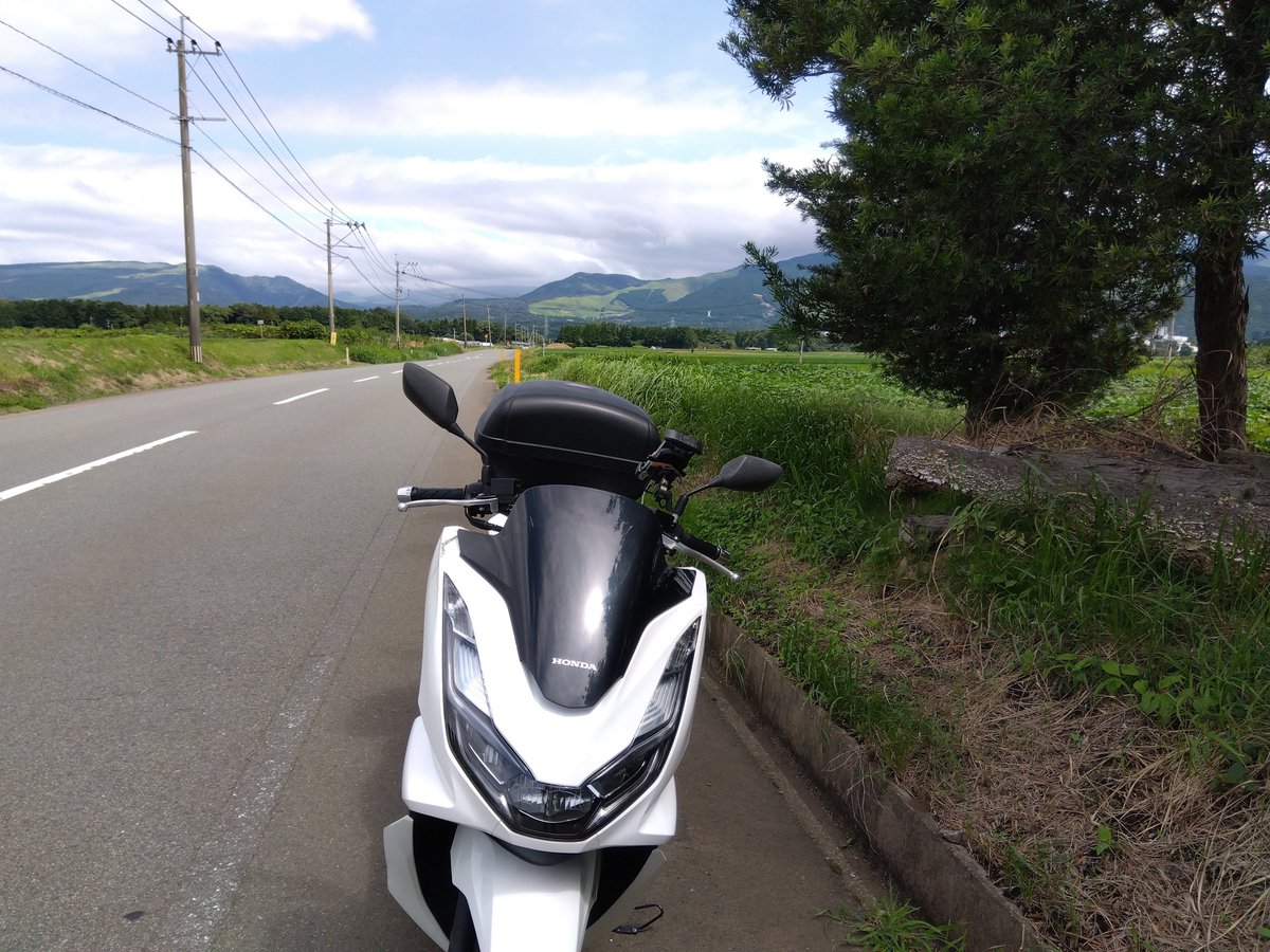 youchychy's tweet photo. リュウちゃん
今日もゴロンでお出迎えしてくれたのですが
動画はワイルド飲み後半

ハトも大勢来てましたよ

阿蘇も俵山も雲が掛かっていました
原付のまま行こうかとも思ったけど
母の老人ホームに行かなくちゃだから諦めました https://t.co/GRkAINIWHR