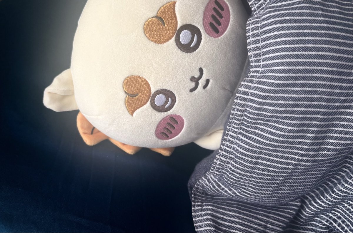 retweetyoua's tweet photo. お師匠を思って寝るのが流行りらしいでーす https://t.co/Rxgh8GBfr4
