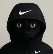 BUTTSEXDEV's tweet photo. over the last year there has been a term blowing up in gen alpha with over 1.4 million tiktoks about it

yn or young nigga

super normie coded and easy asf to meme

yn season, the best NIKE cult meme

https://t.co/5NofSo78SZ https://t.co/IxtS683bRh