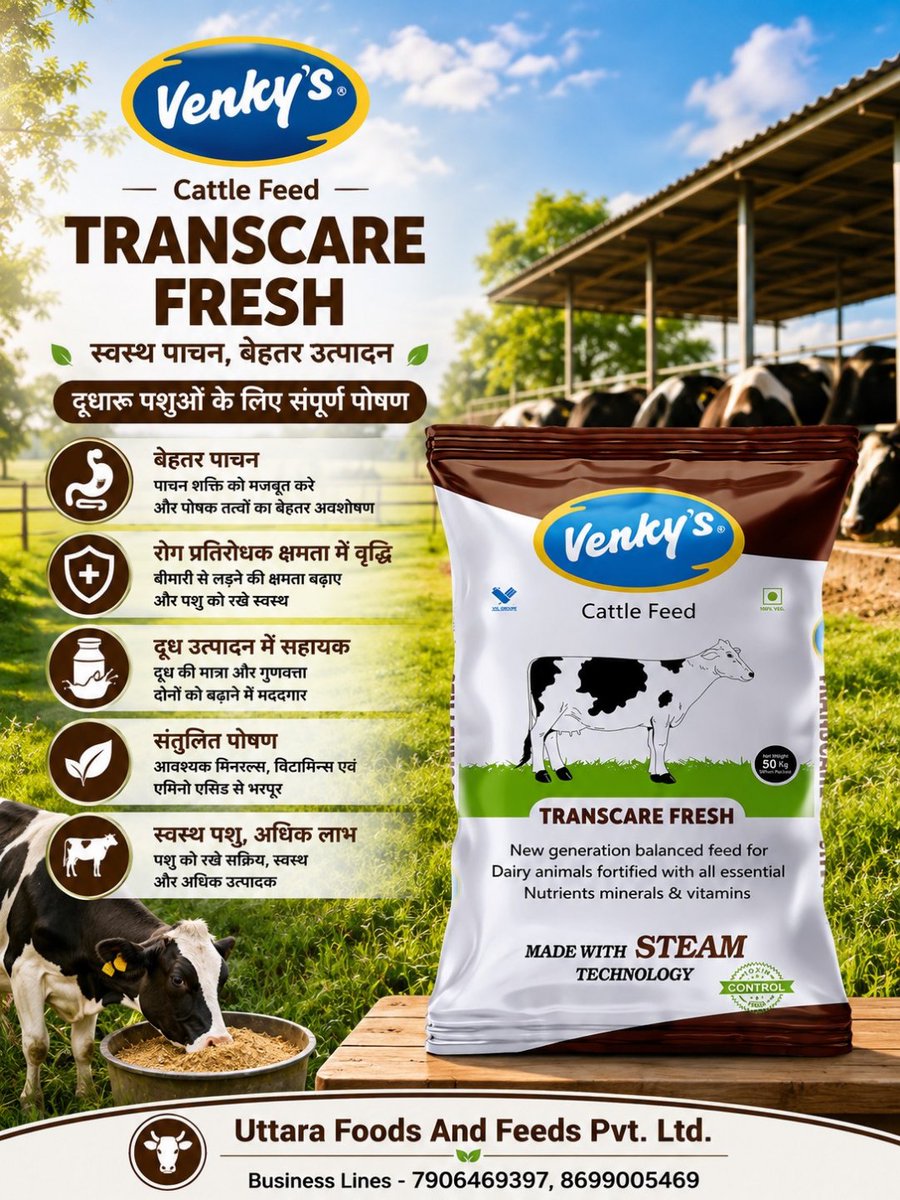 VenkyFeed's tweet photo. बेहतर पाचन, संतुलित पोषण और दूध उत्पादन में सहयोग—Venky’s Transcare Fresh के साथ रखें अपने दुधारू पशुओं को स्वस्थ और सक्रिय। 🐄🌿

📞 7906469397, 8699005469

#venkys #venkyscattlefeed #uttarafoodsandfeeds https://t.co/p5JPgSYWSc