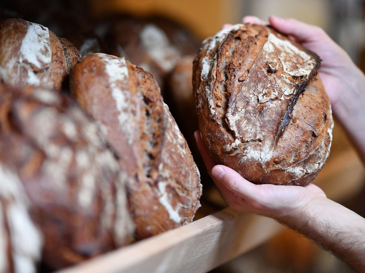 MrBratan_'s tweet photo. @sandroaufdie1 Wir haben das beste Brot https://t.co/e7phLjChRm
