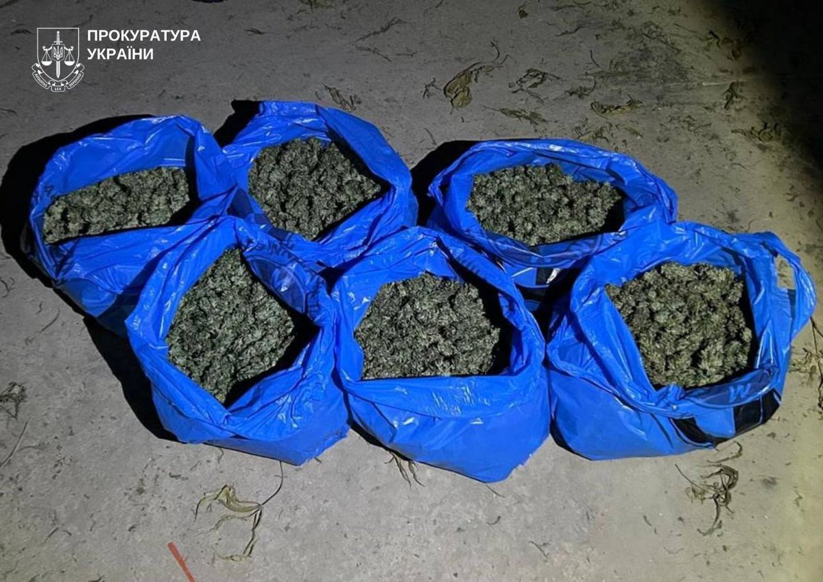 prok_zp's tweet photo. У Запоріжжі сімох учасників злочинного угрупування обвинувачено у збуті наркотиків та психотропів під виглядом вейпів

#запорізькаобласнапрокуратура #прокуратура #запоріжжя
🌐 https://t.co/oZUFuqPUR4 https://t.co/Z25oOZdR8a
