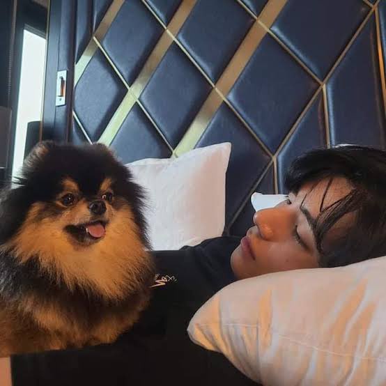 vhopespring's tweet photo. pra sempre vocês dois. 🤍❤️‍🩹 https://t.co/nk0y9i8Ayw