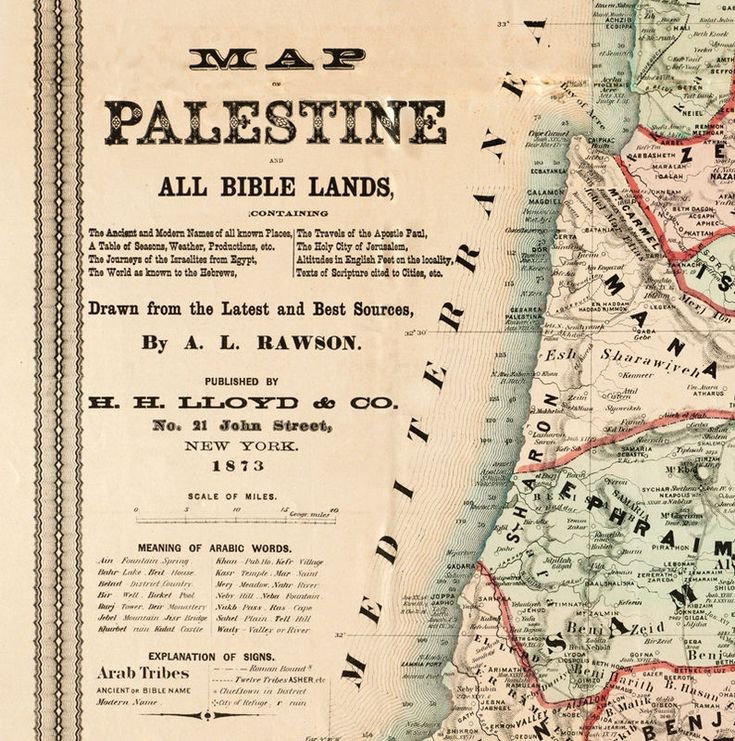 Letcomerspun's tweet photo. @heart_ISR Always and ever palestine https://t.co/u45JqrhHDK