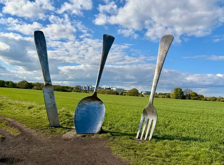 256Rootyherman's tweet photo. cutlery from a fly's point of view https://t.co/04mWAbHMim