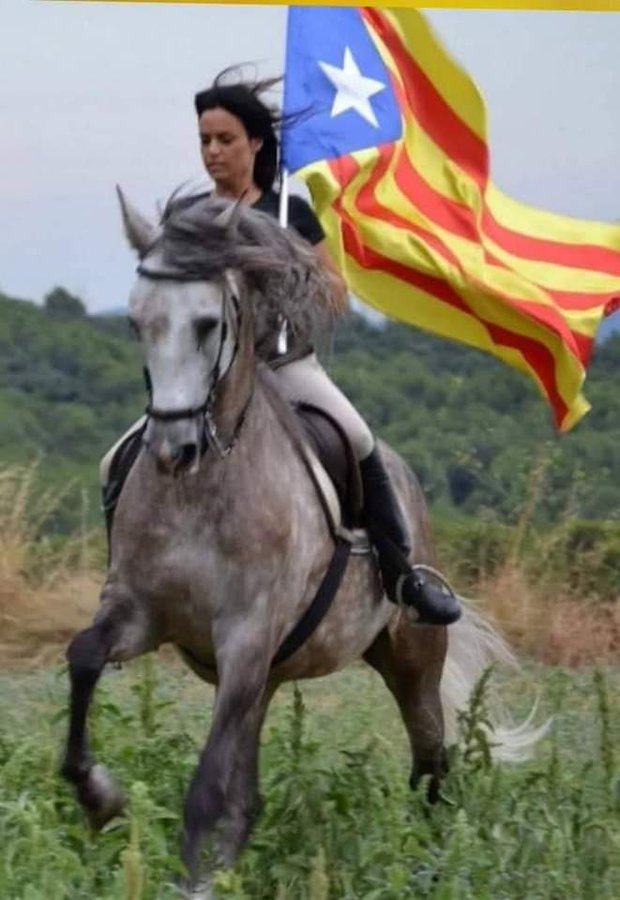 Virgili7's tweet photo. Consell de #boncatalà de l'11 de setembre:

Diem que una nació és INDEPENDENT si no és governada per un país foraster (sigui veí o no ho sigui) o per gent forastera.

I no hi ha ningú que li espoliï els recursos ni tampoc el fruit del treball dels seus habitants.

Feu-ho córrer! https://t.co/IO7PzvW9FP