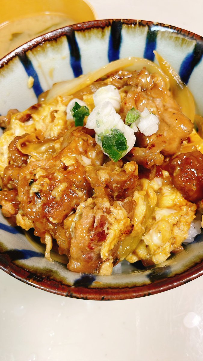 morinomamas's tweet photo. 夜ごはん
他人丼
 #おうちごはん 
 #未解凍ネギ 🤫 https://t.co/G6exgN56UW
