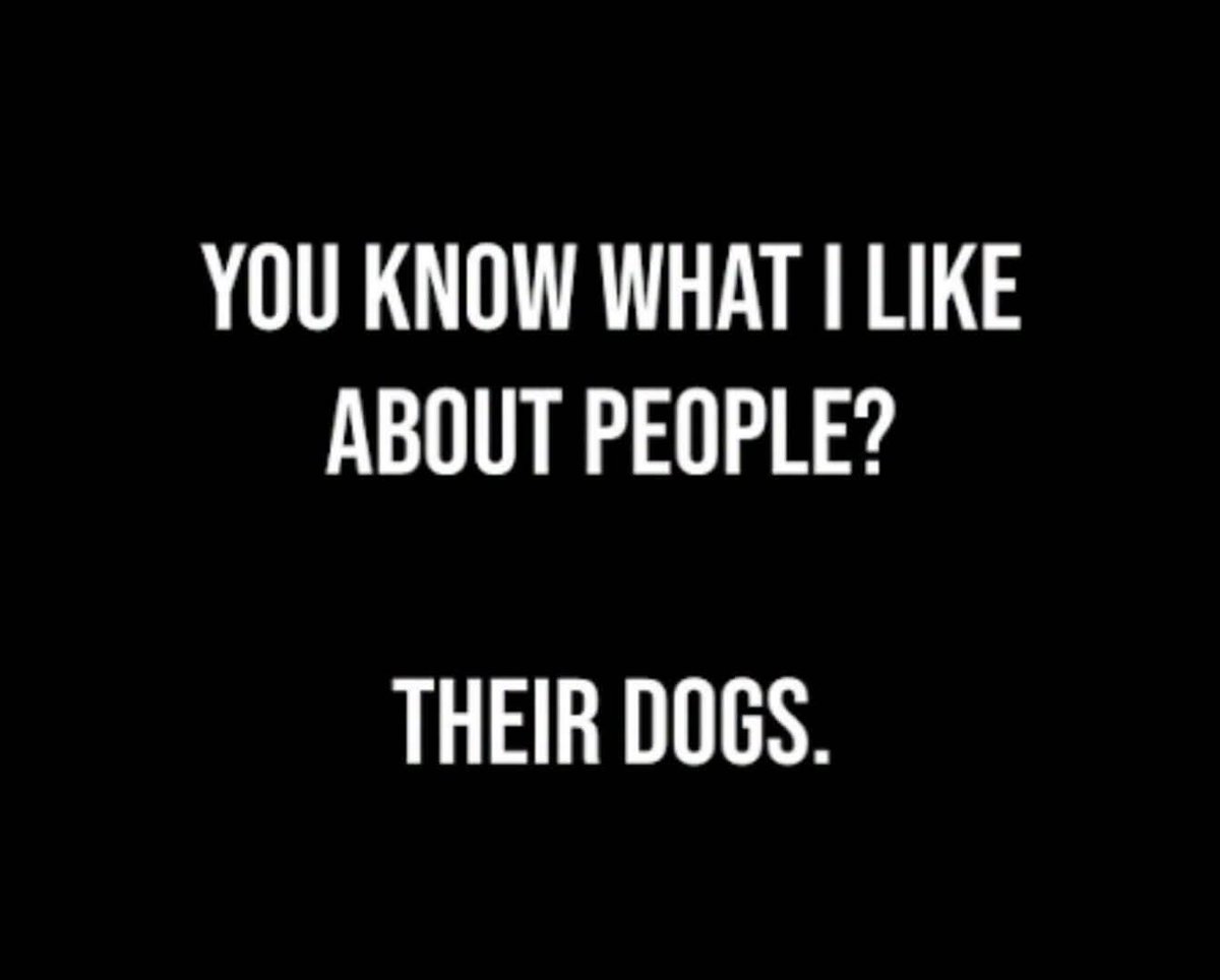 HeckinGoodDogs's tweet photo. https://t.co/CtwGDTTLbb