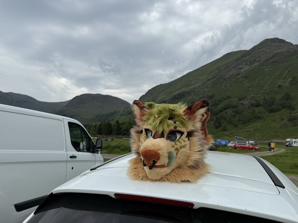 RoxRides05's tweet photo. I’ve recently lost the love of fursuiting or being in the fandom at all. Looking at selling Onyx, made by @sodayeena she comes with loads of art from different artists. 

3D printed base and teeth and horns. pickable nose with piercings, moving jaw
Offers around £1500
Message me! https://t.co/GriQKAnkgr