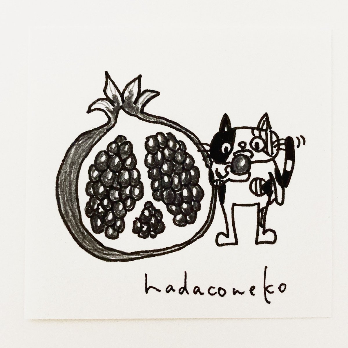 hadaconeko's tweet photo. 今日のイラストはコレ(*´ｪ`*)
『ザクロを食べてる猫』
#イラスト #猫 #cat #illustration #猫イラスト #貓 https://t.co/CCanE7cdPy