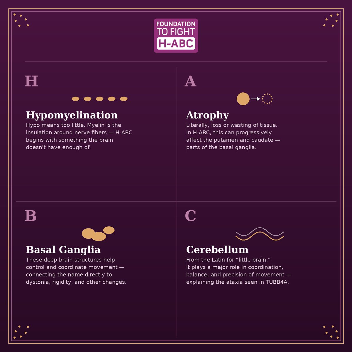 fighthabc's tweet photo. H-abc explained!  https://t.co/lZRGKQ92cm to learn more https://t.co/dHYJQaIDI4