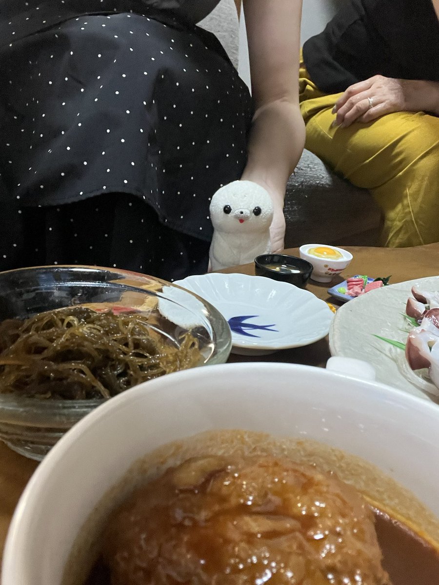 az_numi's tweet photo. 宮崎でのアザラシ🌴楽しかった？ https://t.co/oduO4U5YuB
