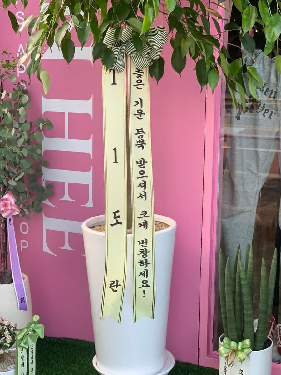 orangeprinted's tweet photo. OP said a new clothing store opened near her place and saw that T1 Doran and PyoSik's mom had sent congratulatory wreaths to them. It turns out the store is owned by Keria's mom 💐

Cr. w.zizii https://t.co/ztgSEI7Mon