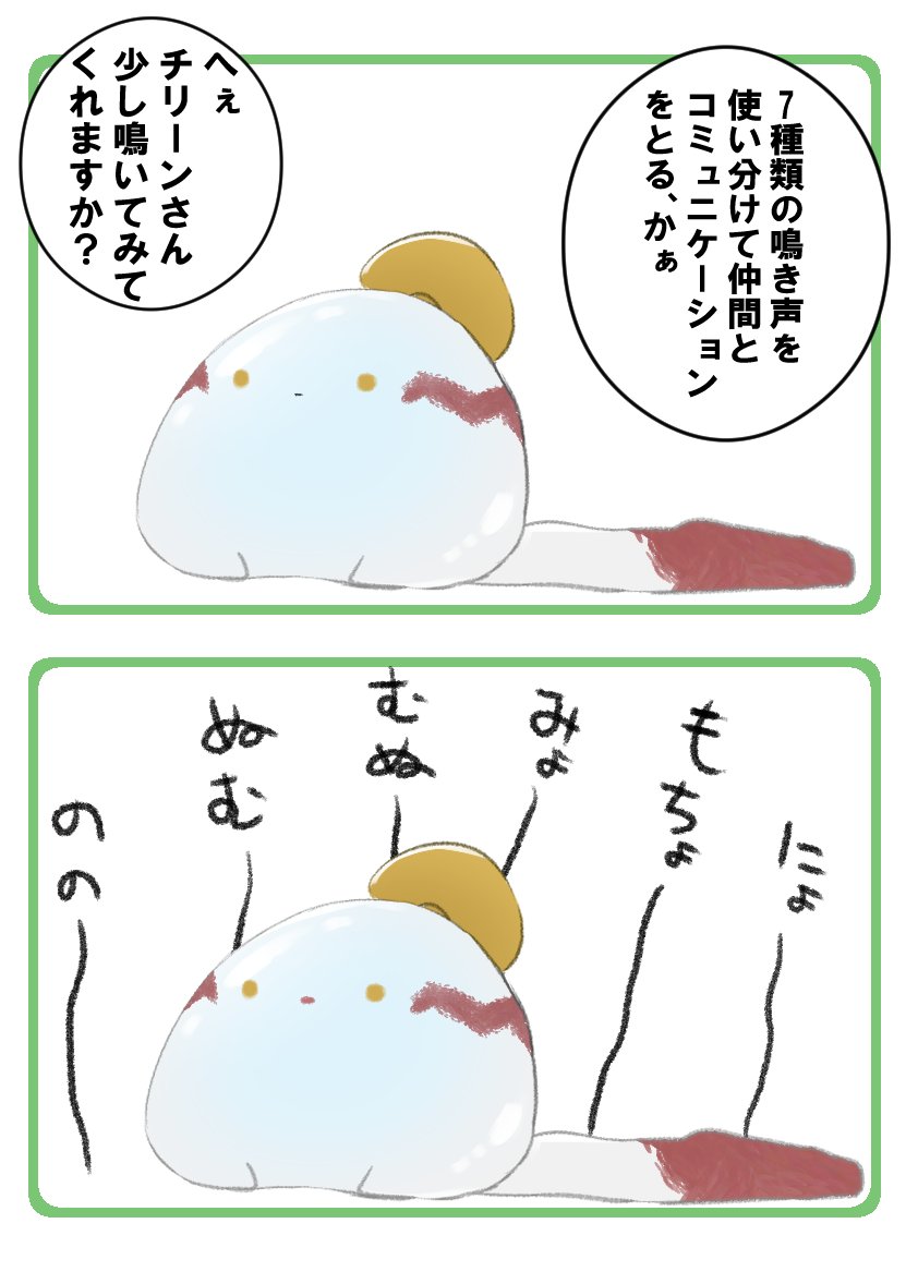 nuuuuu00_xxx's tweet photo. もっチリーンさん https://t.co/ob8vZ8sYTJ