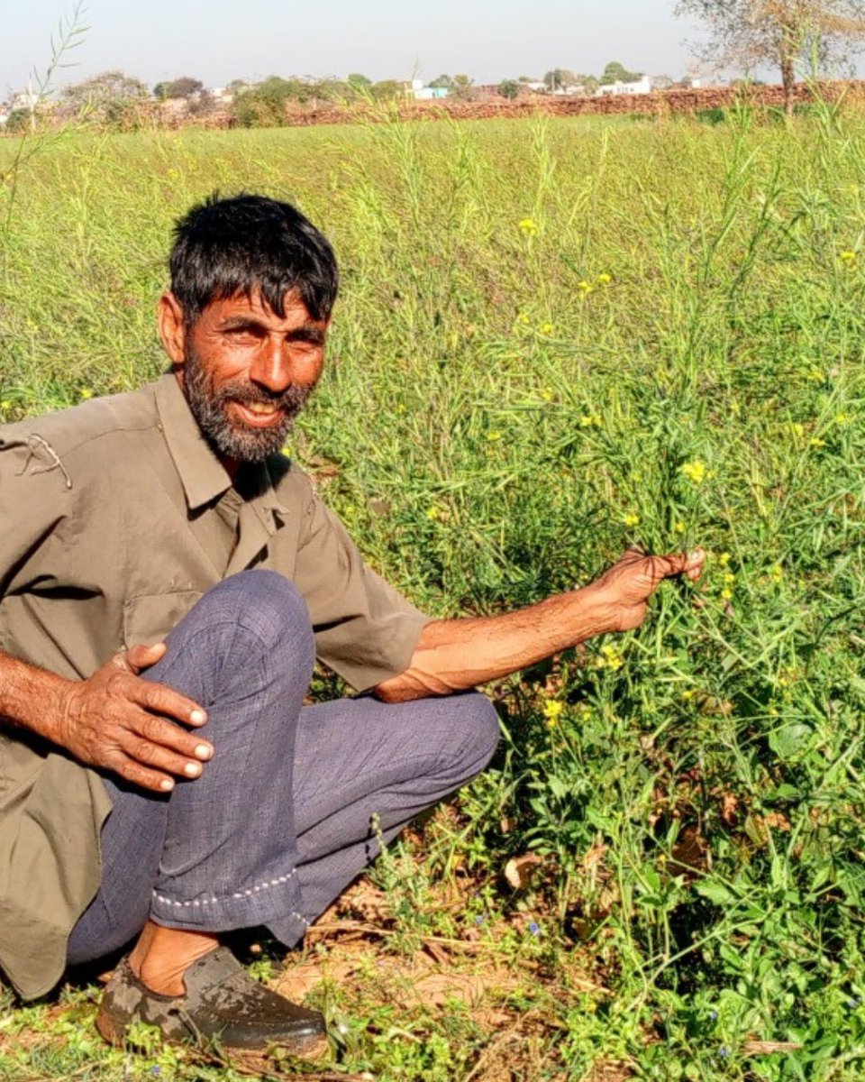 WOTRIndia's tweet photo. For Shreeful Meena of Kasiyapura, Rajasthan, farming for a family of 15 meant making every drop count. With traditional flood irrigation, 2 bighas took nearly 12 hours to irrigate. Then came the sprinkler. https://t.co/GXDiOSZDUU
