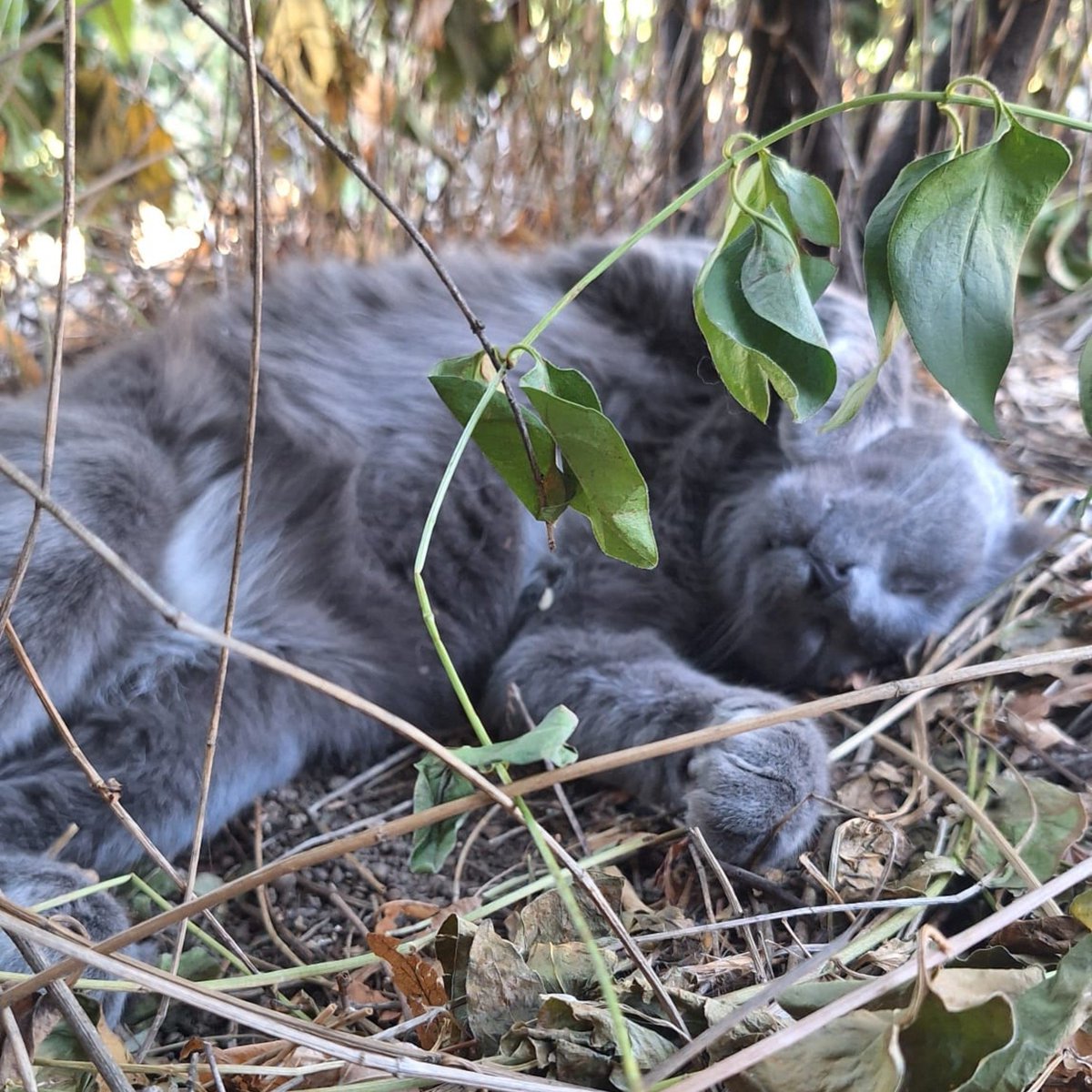 sviublokade_fdu's tweet photo. da odspava dete još sat vremena pa će onda bogami i on da pumpa #svinaizbore https://t.co/w3t3MeuNqZ