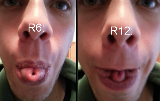 FORchan228's tweet photo. @Roblox roblox skins r6 and r12 be like: https://t.co/cBwTslPMOY