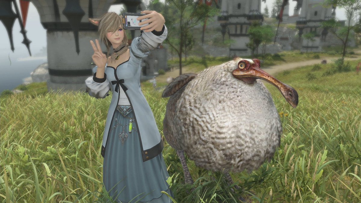 BrightFf14's tweet photo. 今日はドードー捕まえてやりました。マウントの方は持ってないですけど。#FF14 https://t.co/RYOFxdO2ek