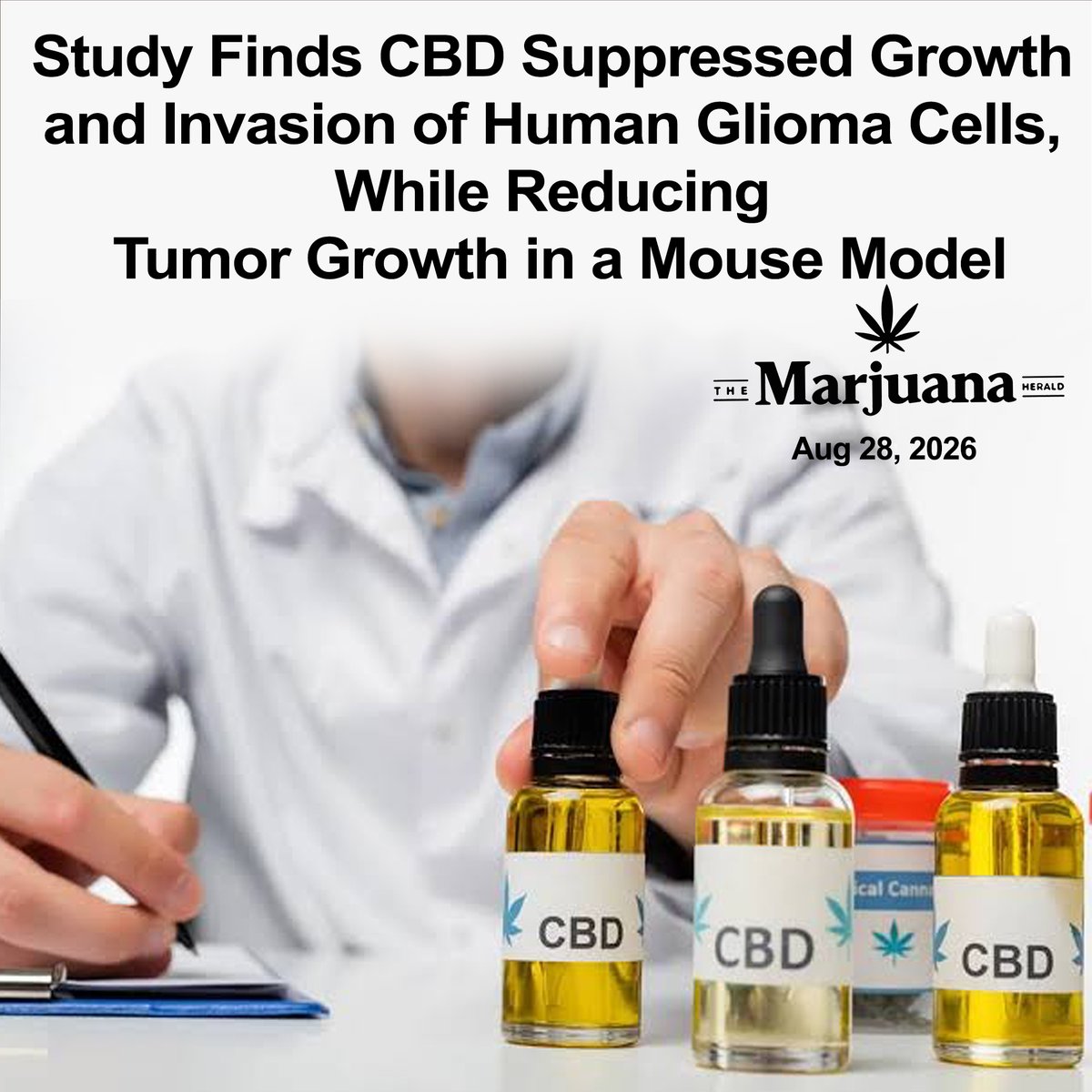 MontelCannabis's tweet photo. NEWS
You Might Have Missed
@gliomasociety
@CfCDeclaration
@CancerSupportHQ
#glioma #health #healthylifestyle #wellness #mmj #mmjpatient #mmjcommunity #selfcare #cbd #cbdoil #cbdhealth #care https://t.co/wJfBZ1bYqj