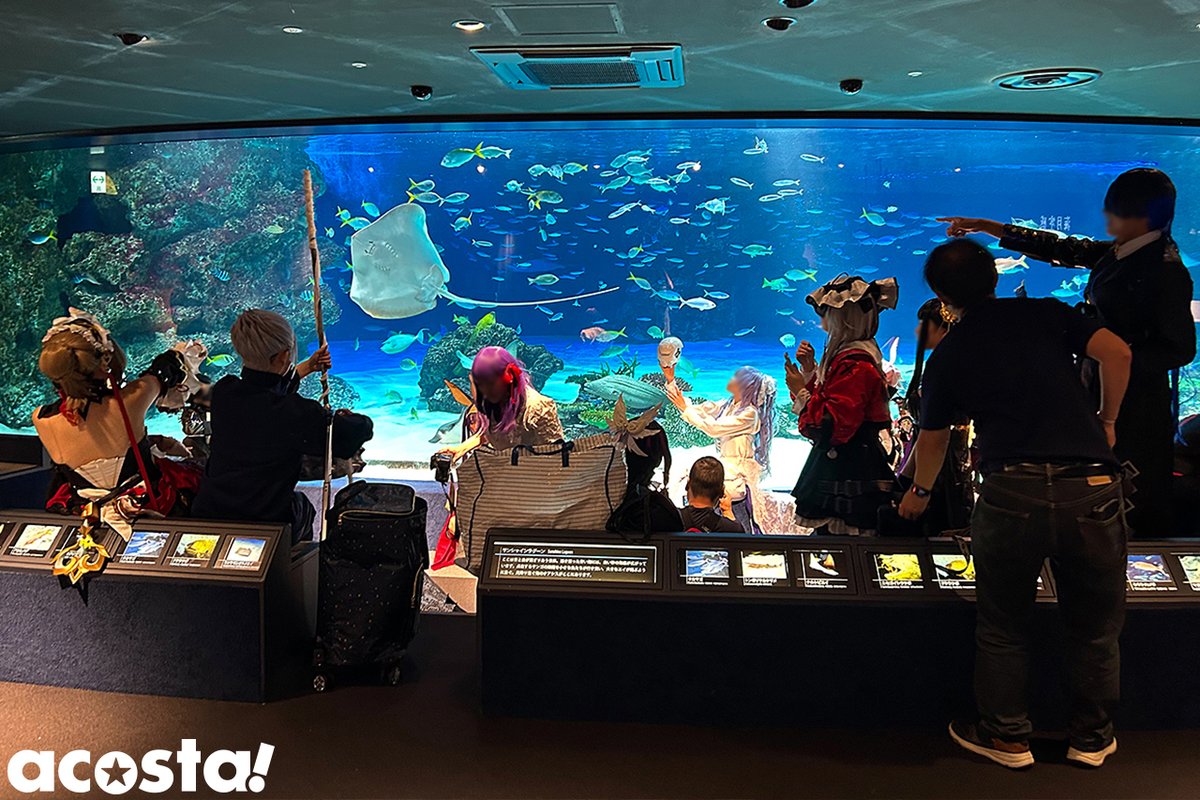 hacoPR's tweet photo. blog更新しました✨

【噴水広場復活】Ultra acosta!レポート【3日間】
▶️https://t.co/Uu3ycyDPh4

レポート撮影してくださった
なつさん（@photos_tmt_）
たくちゃんさん(@t_a_k_u_chan)
ずんぴよさん（@zunpy_photo）
てっちさん（@shin_tecchi）
ありがとうございました😃

CDEFまとめ＆推し活コーデは少々お待ちください！
お客様ギャラリーは今週中に更新します✨
お写真枚数12000枚超え！カメラマンの皆様ありがとうございました！

#アコスタ池袋 #Uアコスタ #Uアコスタ2026