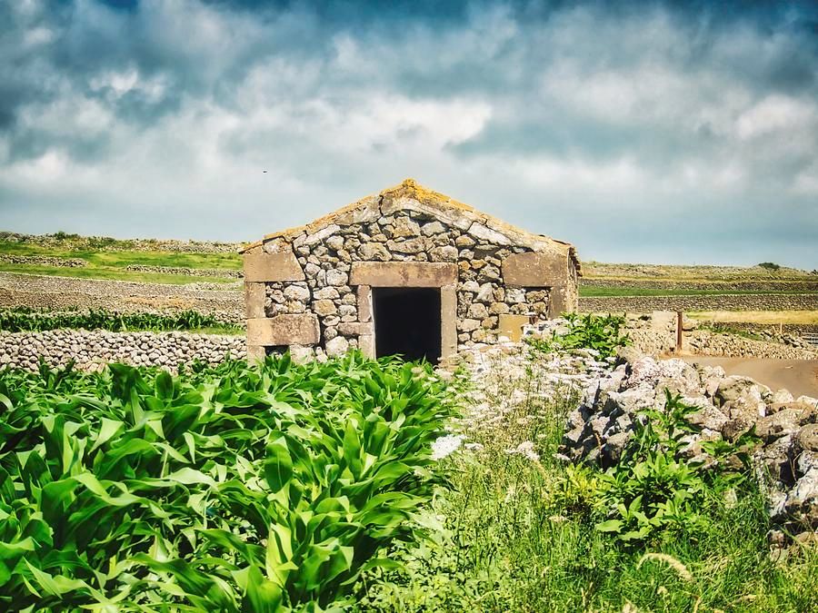 marco5ales's tweet photo. Old stone shed in the Azores cornfield grasslands. Rural nature, landscape photography. ... 
ArtPrint here:  https://t.co/Q11d4Eiu97

#sunset #barn #landscape #skyline #nature #WallArt #Photography #AYearForArt #BuyIntoArt @marco5ales https://t.co/dqjgql7jRn