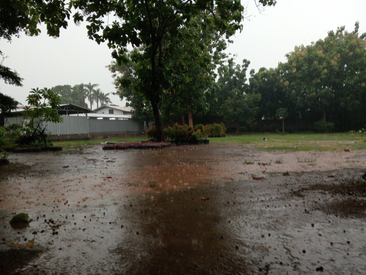 kwacixd's tweet photo. september rain 🙂 https://t.co/KKjiDDoRYy
