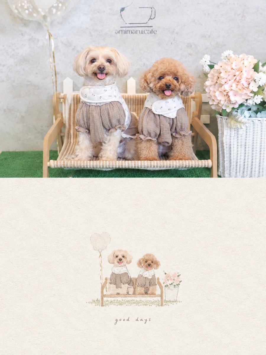 arey__e's tweet photo. この加工可愛い🐶♡ https://t.co/TexnqDjjBU