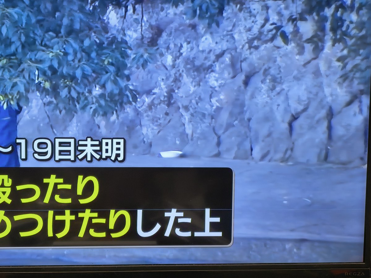 bun_rgv21gr7LA's tweet photo. 【悲報】😭

TV付けて　出る時と出ない時が有ったので字幕のアレかなーと

思っていたけど、よくよく見ると

液晶がイカレたっぽ

問題は、HDDに保存したのが観れなくなること
（まぁ　大したものはないが、見返ししたくなるものもあるので）

TVとしては、それとなく見れるので
しばし、傍観😐 https://t.co/4KYzrvbBDh