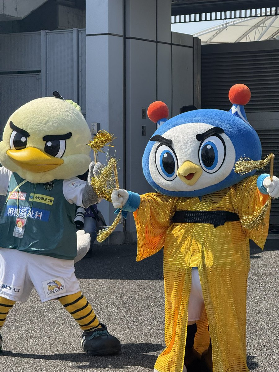 0127mzko's tweet photo. #あなたのベストフリ丸選手権 👽🩵

①雪でも全力フリ丸
②友だちとサンバフリ丸
③百年構想フリ丸Day楽しむフリ丸
④おめめキラキラキュートフリ丸

2026厳選ですいつもありがとう🙂‍↕️⭐️ https://t.co/JE7BpG4TQD