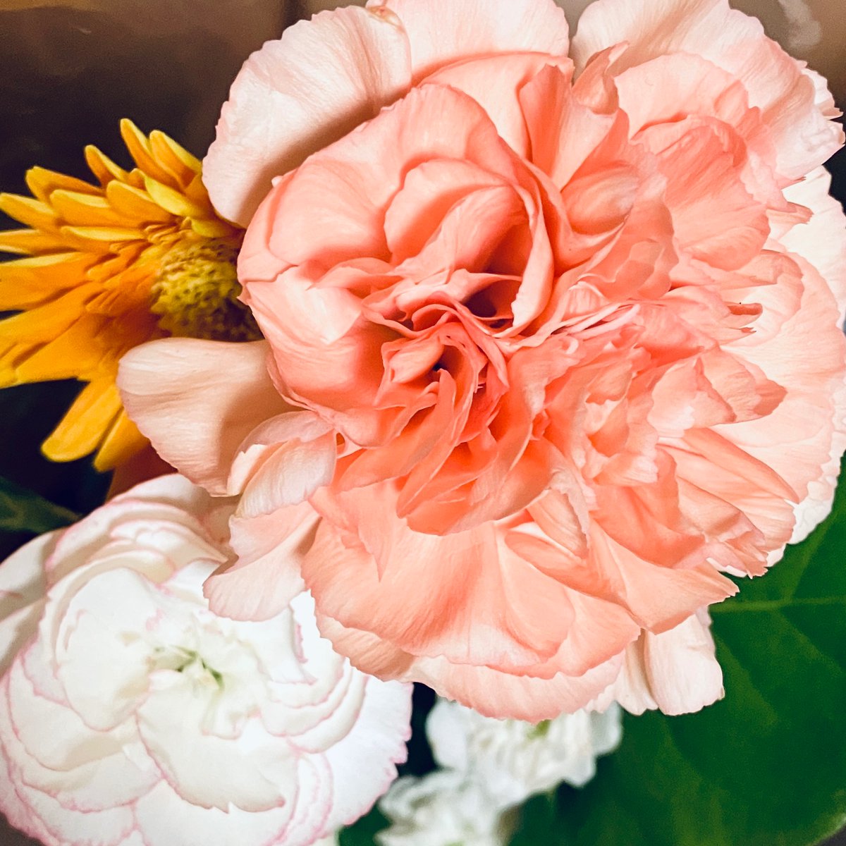 bouqlet_f's tweet photo. えふ誕生日おめでとう〜🎉✨✨
えふのために買ったお花 https://t.co/E4DpZFd0q3