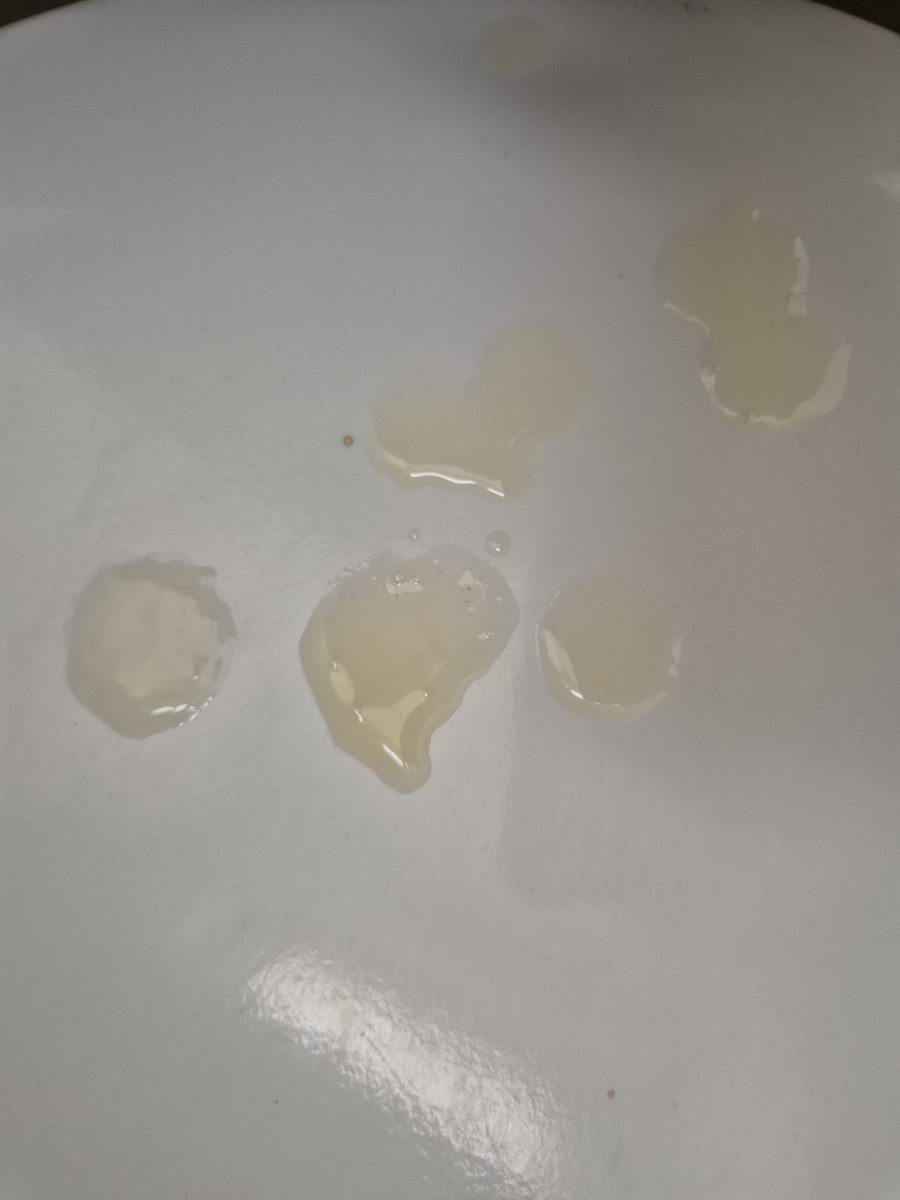 ThomasScherer12's tweet photo. @hairybarbie_ Want to sperm your Bush,with the Liquer from my eggs😎 https://t.co/WK4wCyRmDC