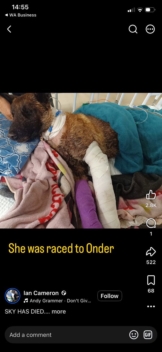 endurancetry's tweet photo. The useless Police minister the more useless arrogant SAP management team from HO the regional head, the station head, this handler and his/ her bosses must be fired..#SAP Roodeplaat.. @Prof_Cachalia @SAPoliceService @IanCameron23 @NSPCA_SA  repost the crap out of this… https://t.co/XKpaAoRtMq