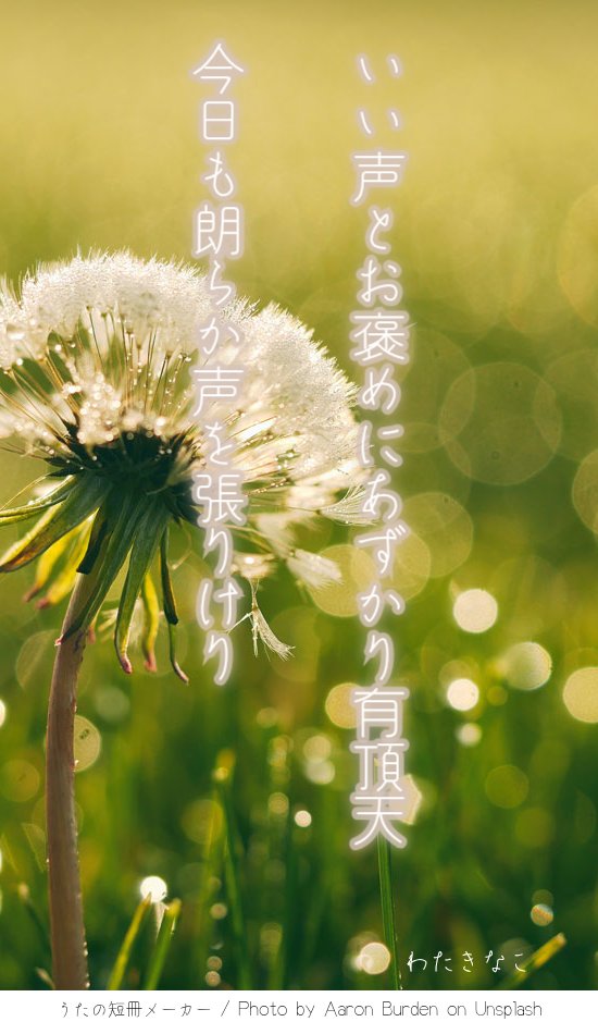 whimsical_days's tweet photo. いい声とお褒めにあずかり有頂天今日も朗らか声を張りけり。｜わたきなこ @whimsical_days https://t.co/u1ijqEeSbZ

#ほぼ毎日note https://t.co/ma8gvLH2Ae