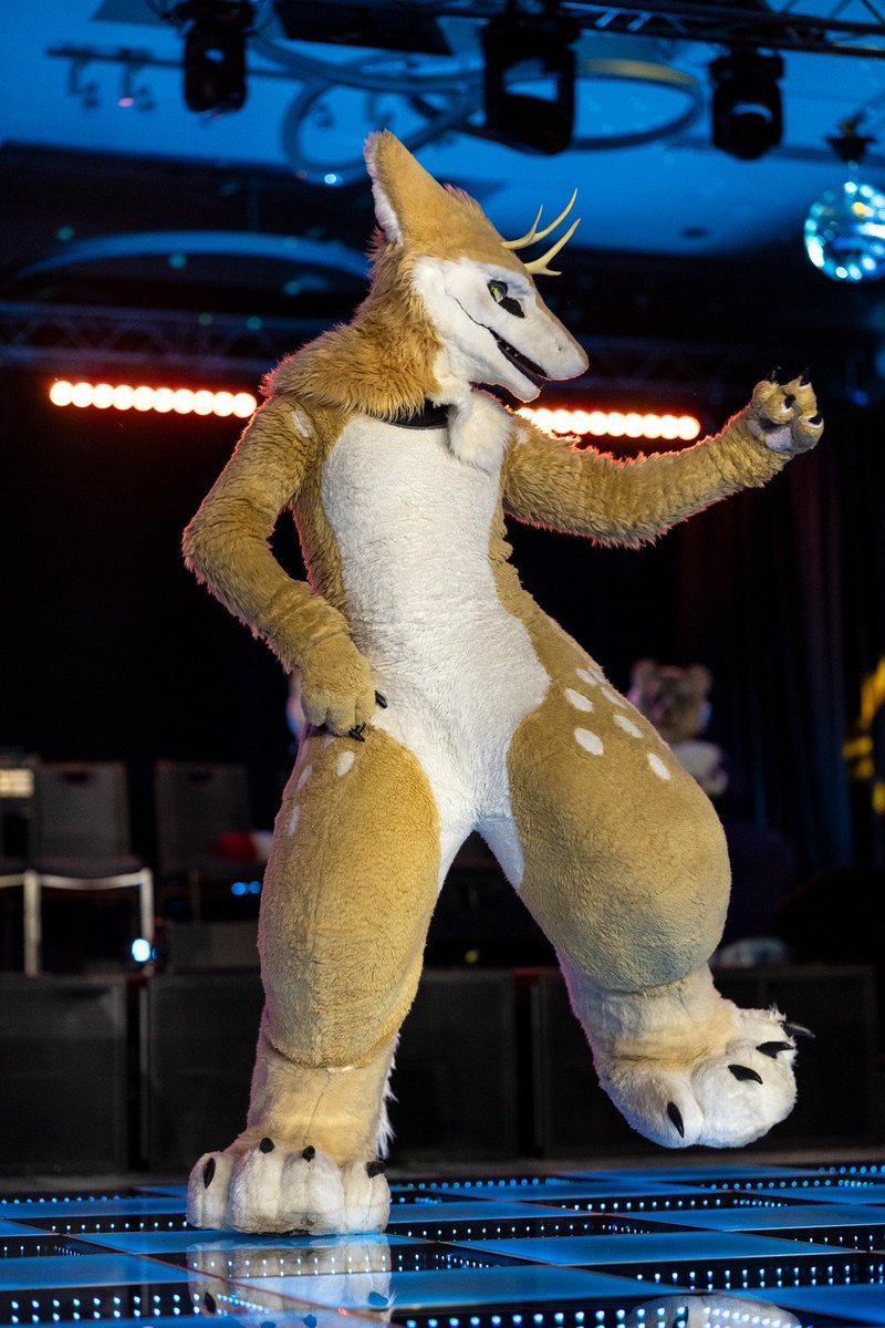 JackTheDeergal's tweet photo. Very honored to have had the opportunity to perform at the IFC Dance Competition! Everyone was super supportive and gave it their very best! 🧡
📸 @dire_walf 
#IFC26 #IFC #FursuitEveryday https://t.co/JiFBoM1mJb